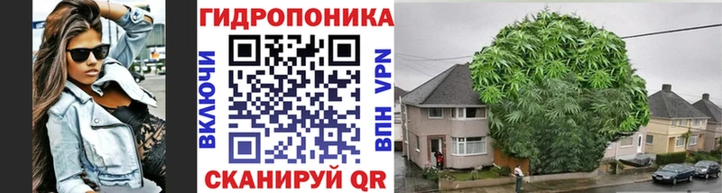 Купить закладки  Малоархангельск  Канабис сатива 